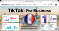 One Tiktok Business Center (France)