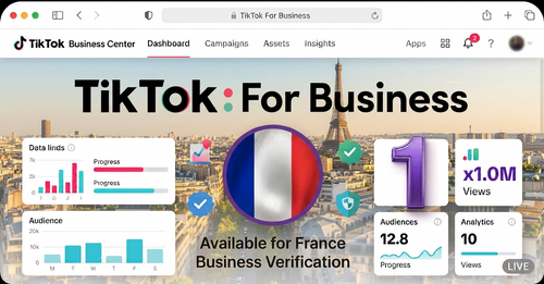 One Tiktok Business Center (France)