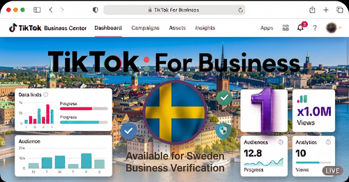 One Tiktok Business Center (Sweden)