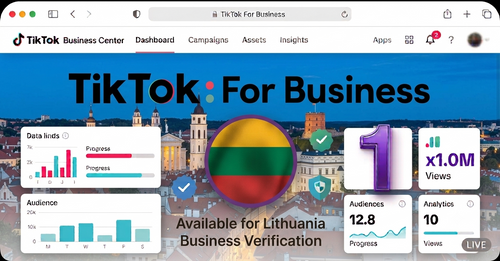 One Tiktok Business Center (Lithuania)