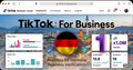 One Tiktok Business Center (Germany)