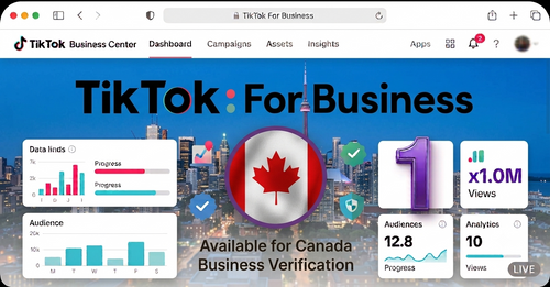 One Tiktok Business Center (Canada)