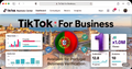 One Tiktok Business Center (Portugal)