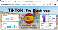One Tiktok Business Center (Spain)