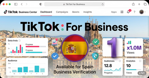 One Tiktok Business Center (Spain)