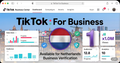 One Tiktok Business Center (Netherland)