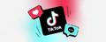 One Aged TikTok Account (Organic, USA IP)